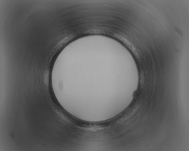 X0000116320445200912291536