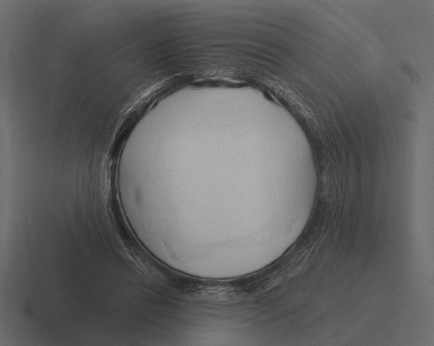 X0000116320446200912291536