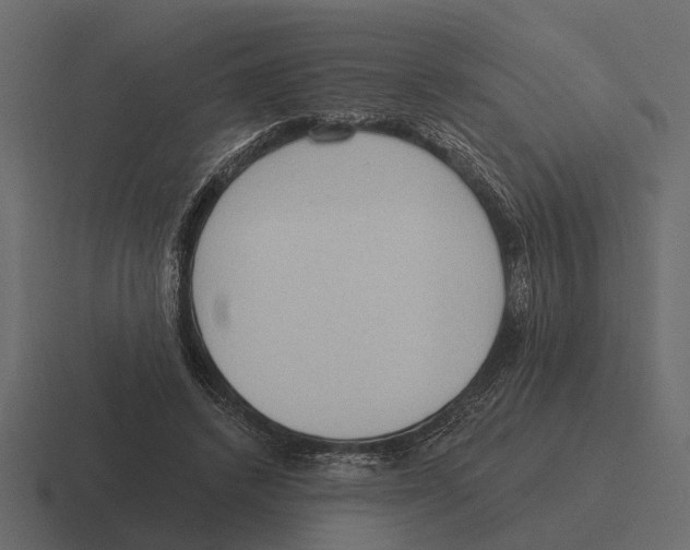 X0000116320448200912291536