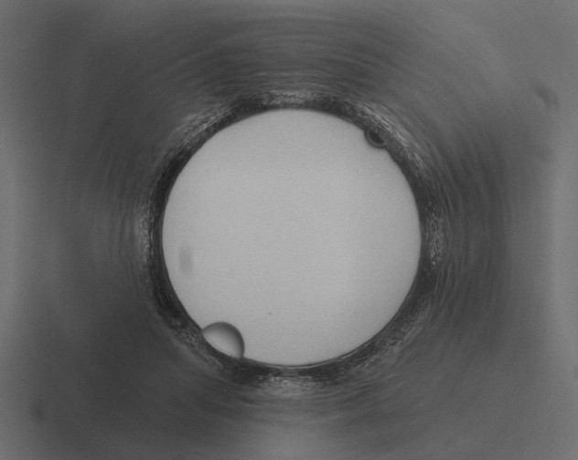 X0000116320455200912291536