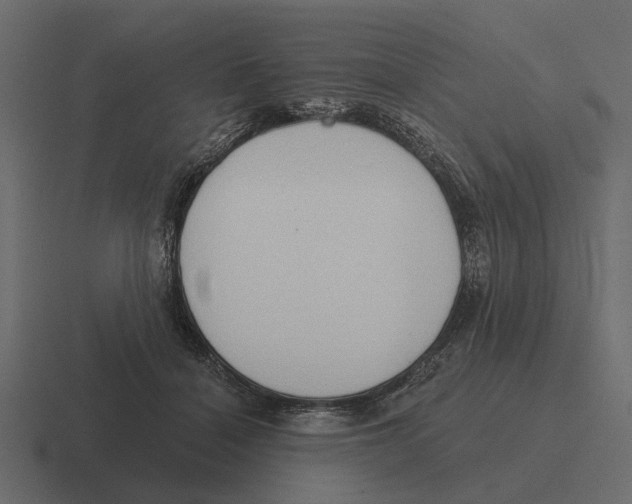 X0000116320460200912291536