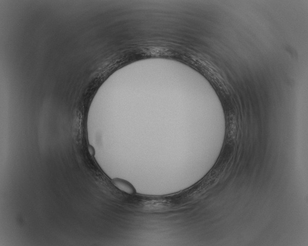 X0000116320461200912291536