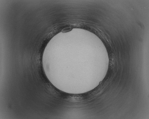 X0000116320466200912291537