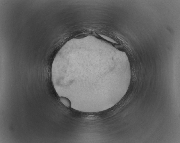 X0000116320467200912291537