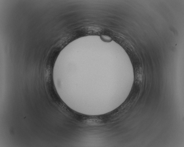 X0000116320468200912291537