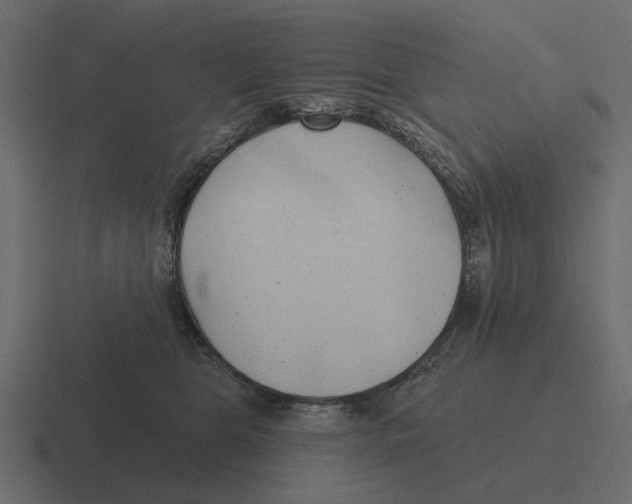 X0000116320469200912291537