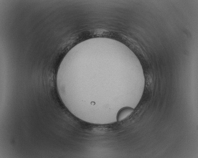 X0000116320470200912291537