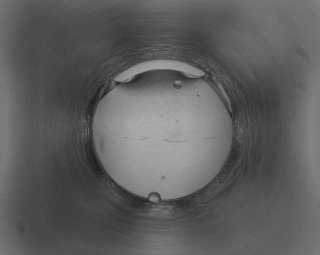 X0000116320471200912291537