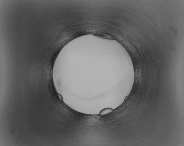 X0000116320474200912291537