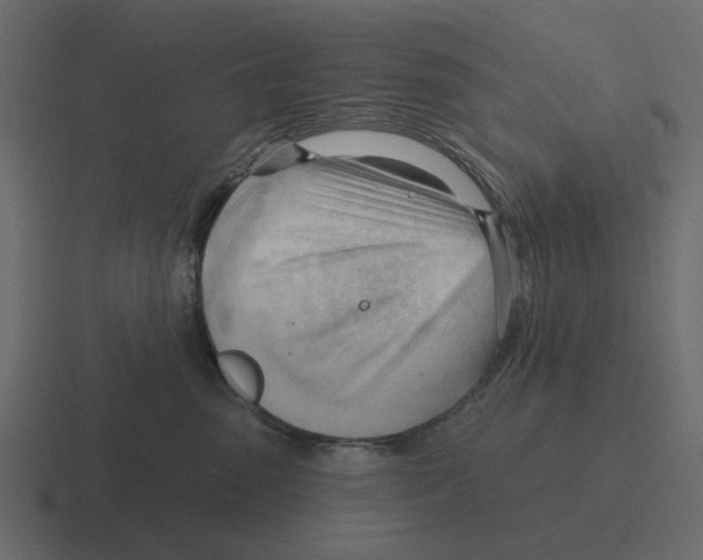 X0000116320475200912291537