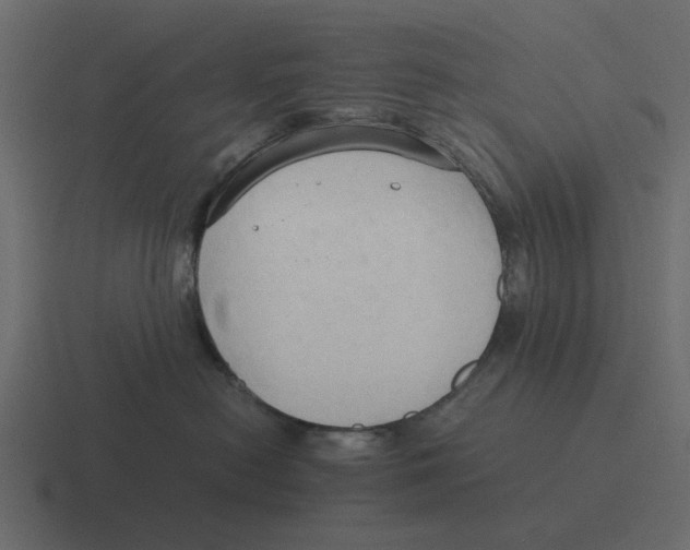 X0000116320478200912291537