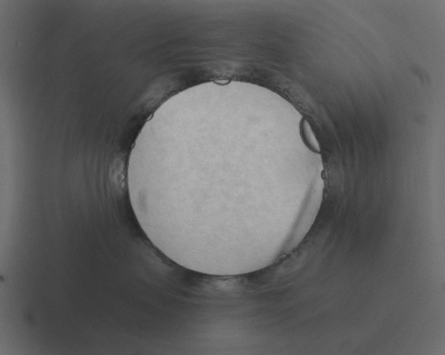 X0000116320479200912291537