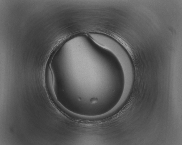 X0000116320485200912291536