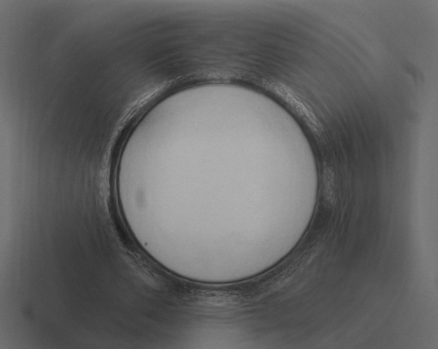 X0000116320486200912291536