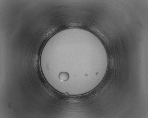 X0000116320490200912291536