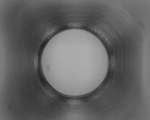 X0000116320494200912291536