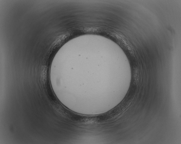 X0000116320495200912291536