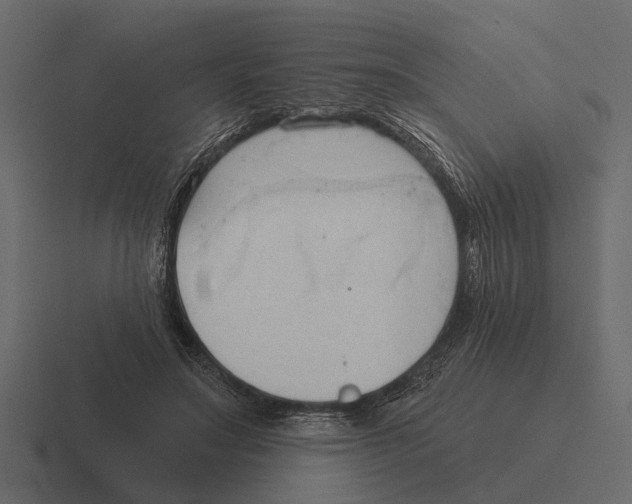 X0000116320499200912291536