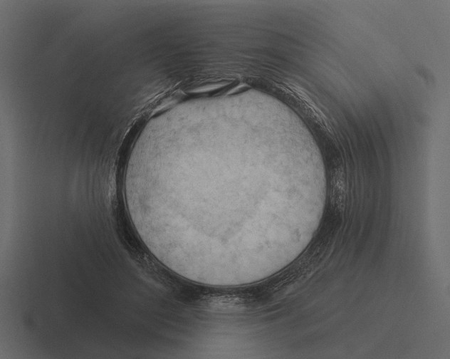 X0000116320500200912291536