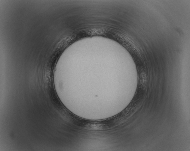 X0000116320506200912291536