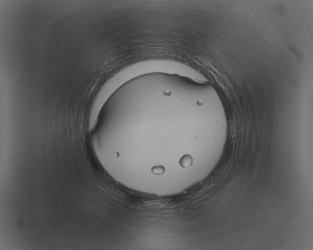 X0000116320516200912291536