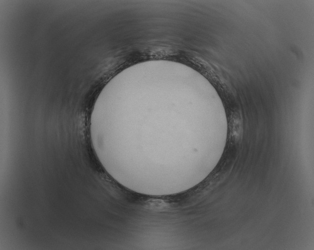 X0000116320519200912291536