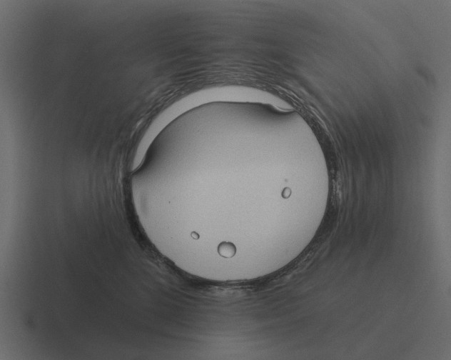 X0000116320520200912291536