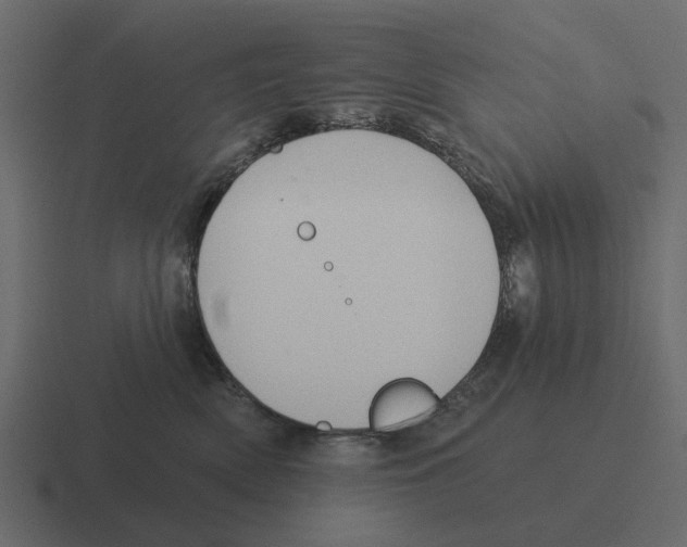 X0000116320522200912291536