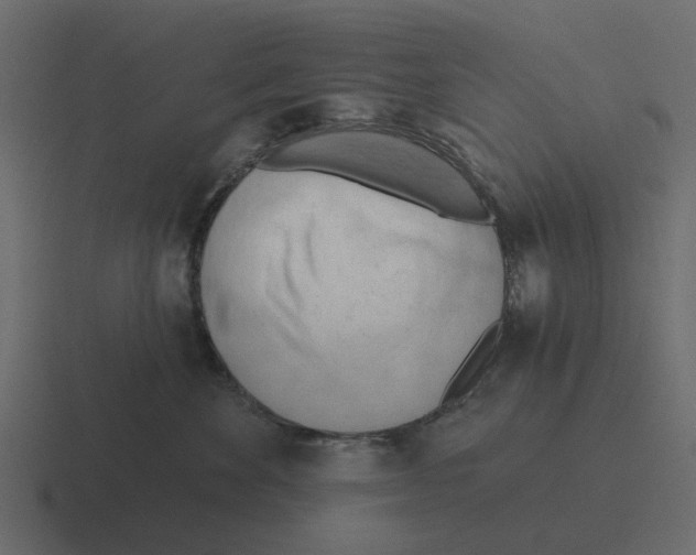 X0000116320524200912291536