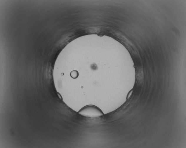 X0000116320525200912291536