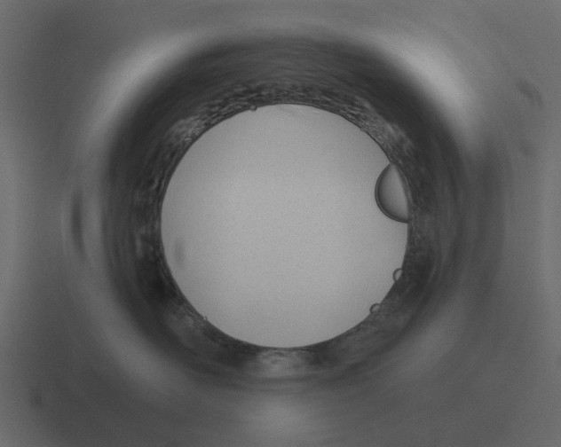 X0000116320526200912291536