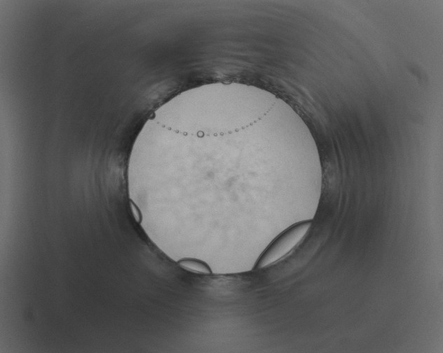 X0000116320527200912291536