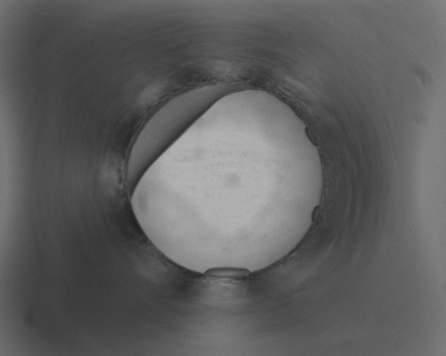 X0000116320528200912291536