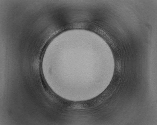 X0000116320534200912291535