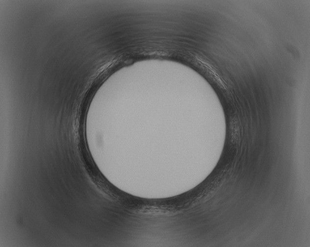 X0000116320538200912291535