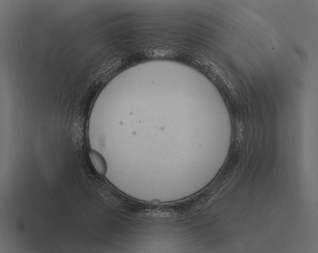 X0000116320545200912291535