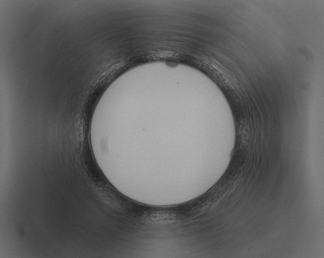 X0000116320546200912291535