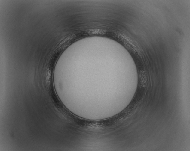 X0000116320550200912291535