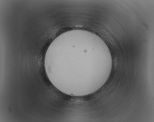 X0000116320559200912291535