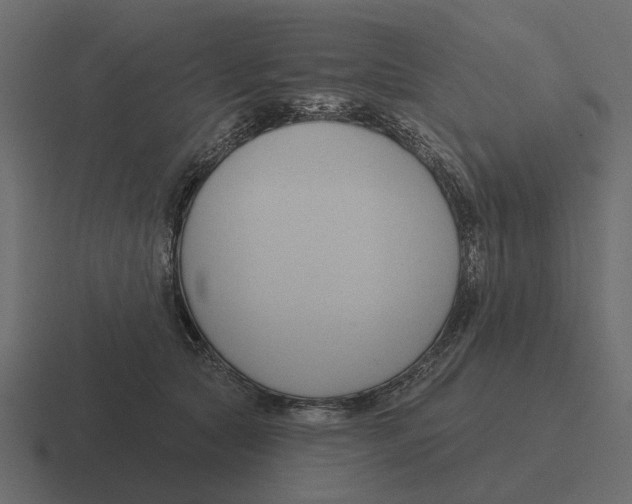 X0000116320561200912291535