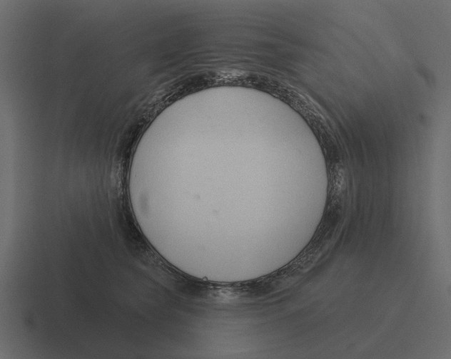 X0000116320565200912291535