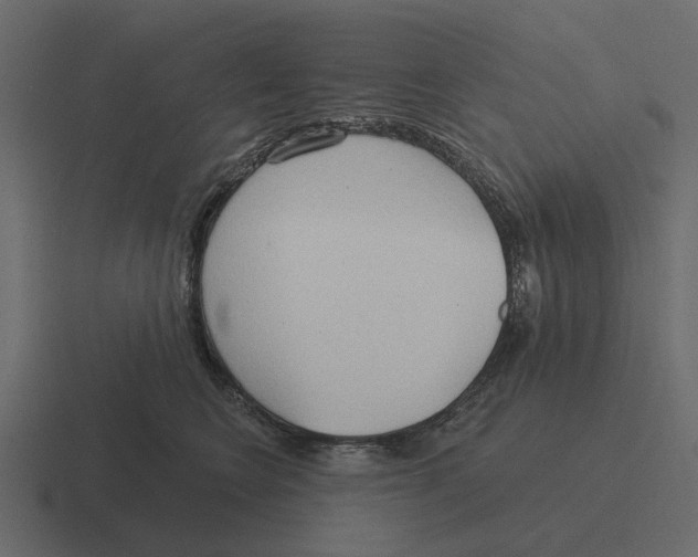 X0000116320566200912291535