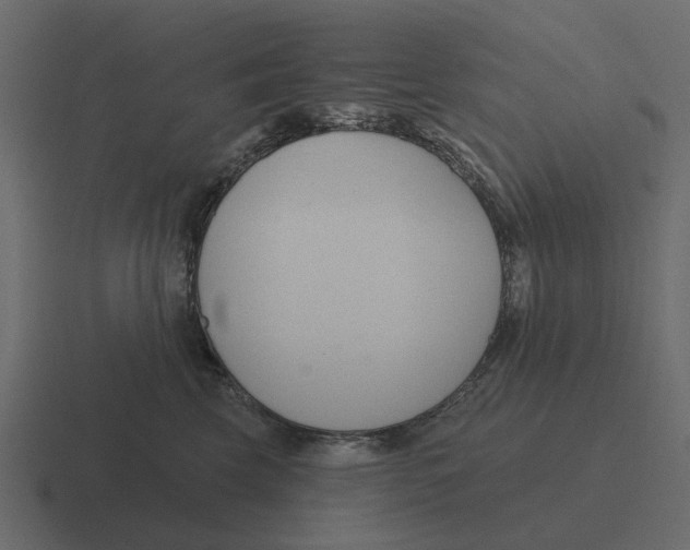 X0000116320569200912291535