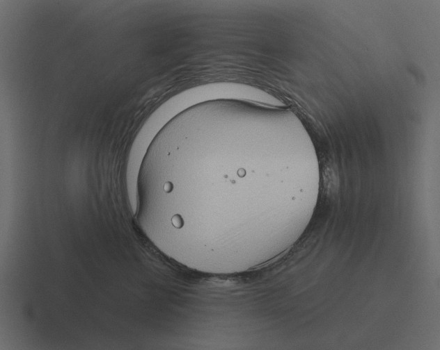 X0000116320570200912291535