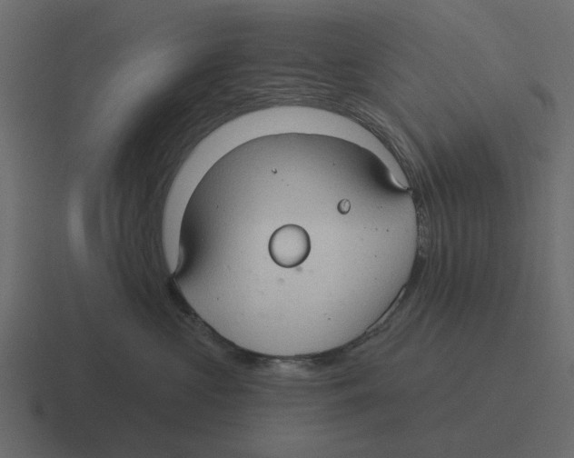 X0000116320573200912291535