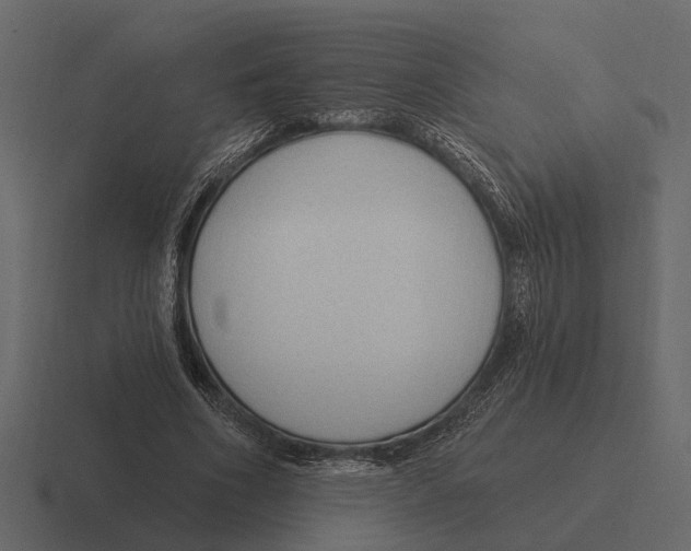 X0000116320586200912291535