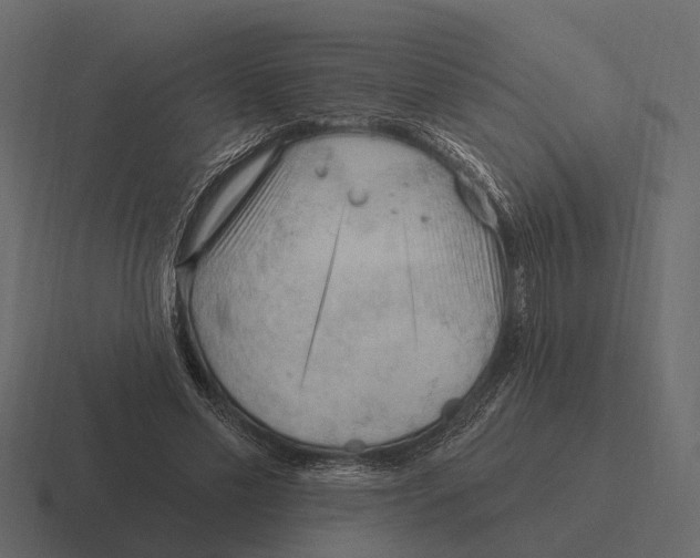 X0000116320589200912291535