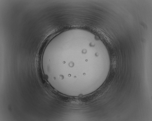 X0000116320591200912291535