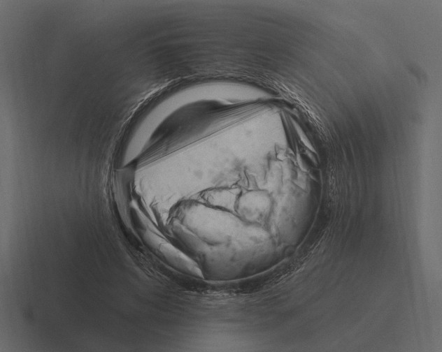 X0000116320592200912291535