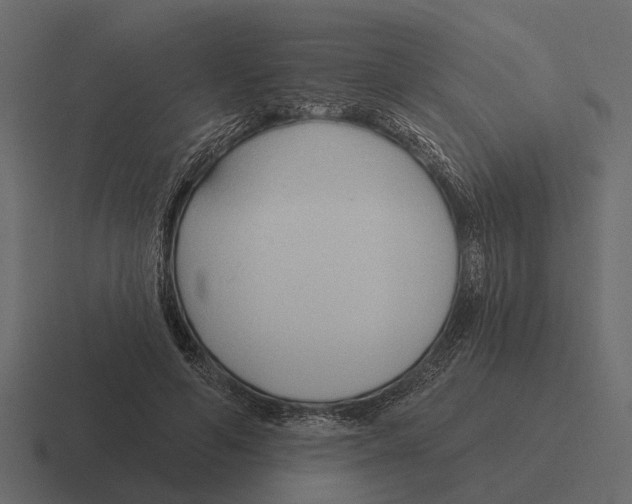 X0000116320594200912291535